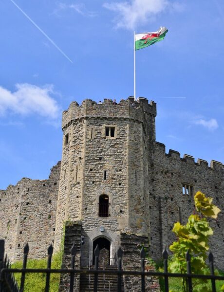 Welsh castle with national flag – UK Dog Handlers Wales