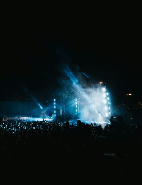 Crowded outdoor event with stage lighting where animal control support may be required